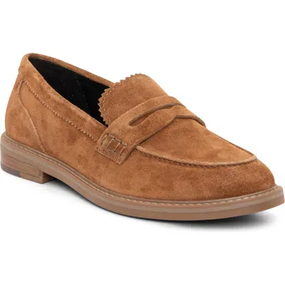 WOMEN'S ARA KALENDRA | NUTS SUEDE - Image 3