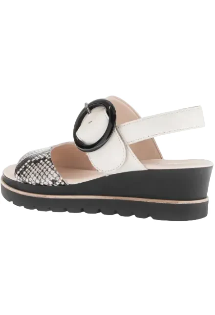 WOMEN'S GABOR 64.645.49 SANDAL | MUSCHEL - Image 3