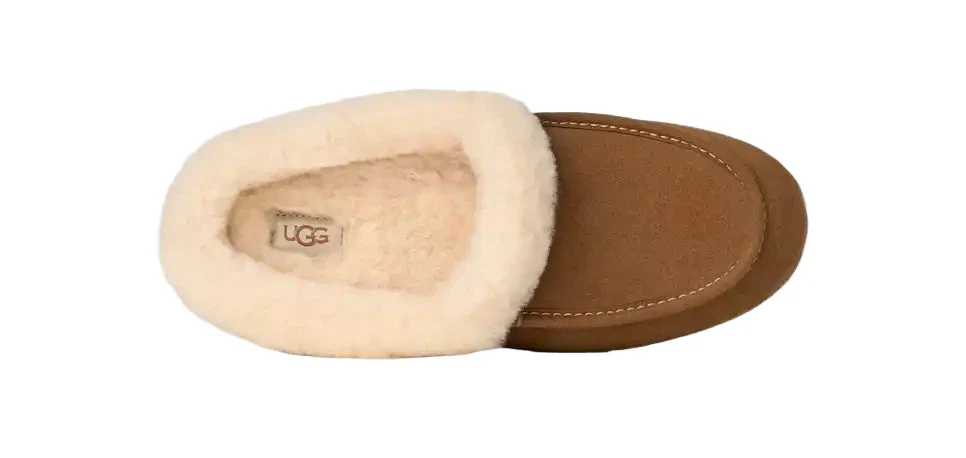 WOMEN'S UGG ANSLEY MULE | CHESTNUT - Image 5