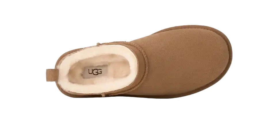 WOMEN'S UGG CLASSIC MICRO | CHESTNUT - Image 6